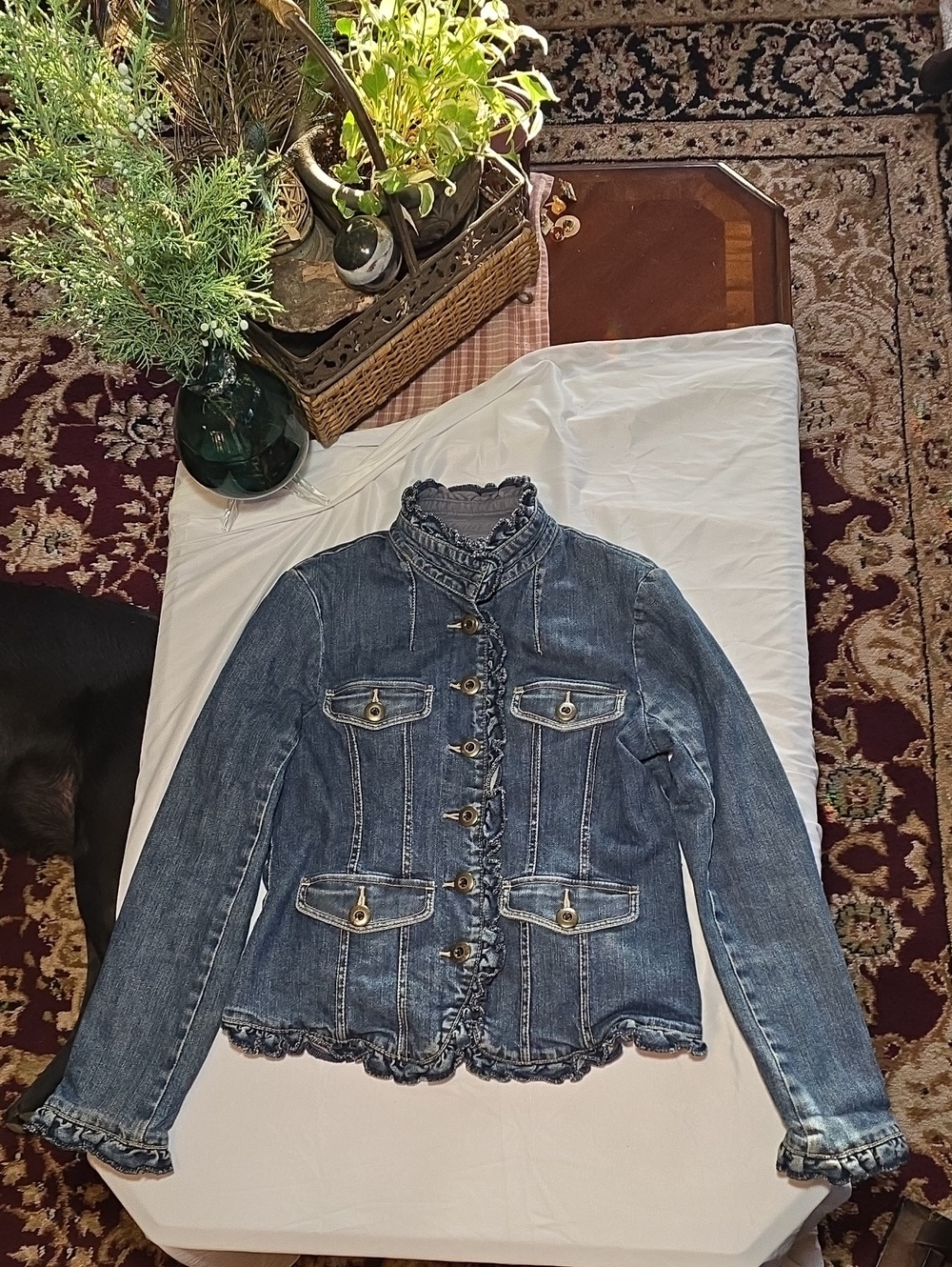 VTG Anthropologie Louie Ruffle Denim Jacket Size 6 RN 66170 Y2K